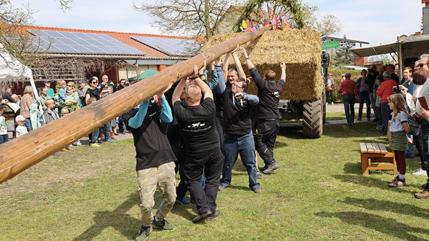 Aufstellen des Maibaums in Kuhhorst